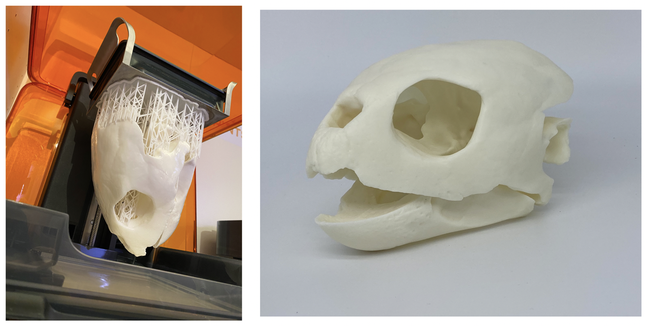 Bildschirmfoto 2022-10-21 um 06.25.32 Gro.png